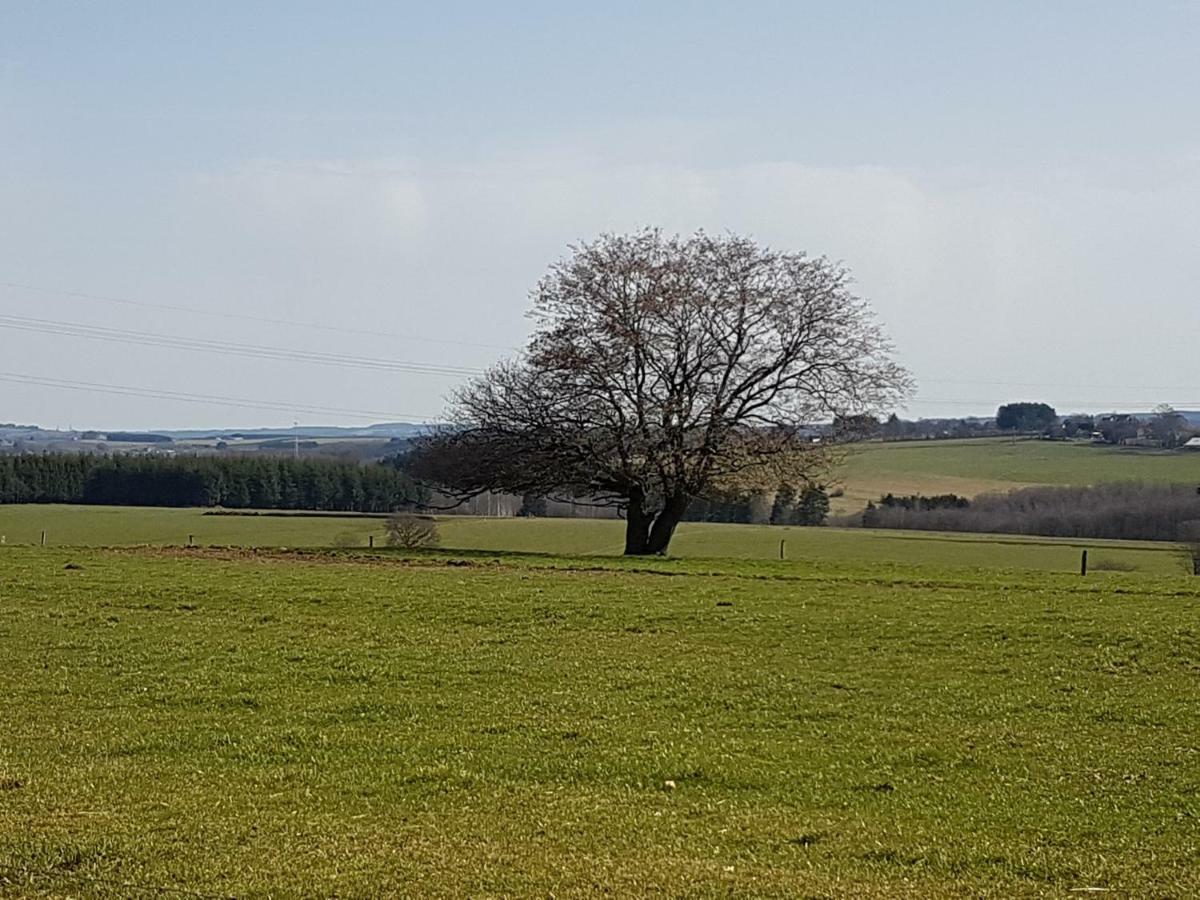 Le Clos De Rosa La-Roche-en-Ardenne Zewnętrze zdjęcie